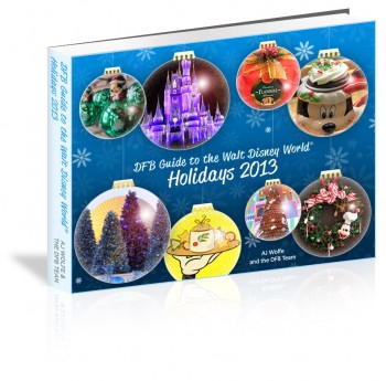DFB Guide Holidays 2013