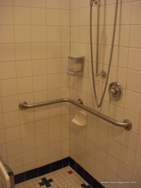 Handicap Accessible Shower in Changing Room