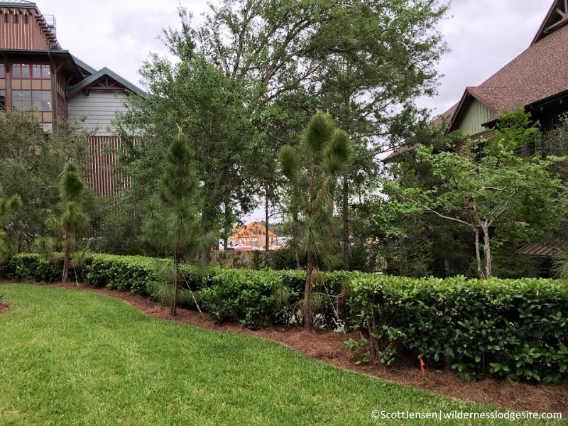 Wilderness Lodge grounds